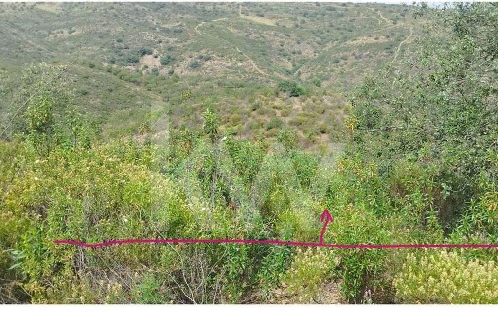 Terreno para venda em Laranjeiras, Alcoutim - Faro - Grande imagem: 4/10