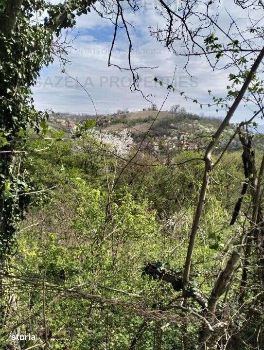 teren vie Medias, 3452 mp - Imagine principală: 4/5