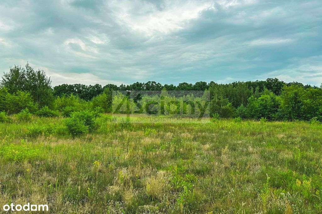 Działki inwestycyjne w Runowie o pow. 3,2655 ha - Pełny obrazek: 4/5