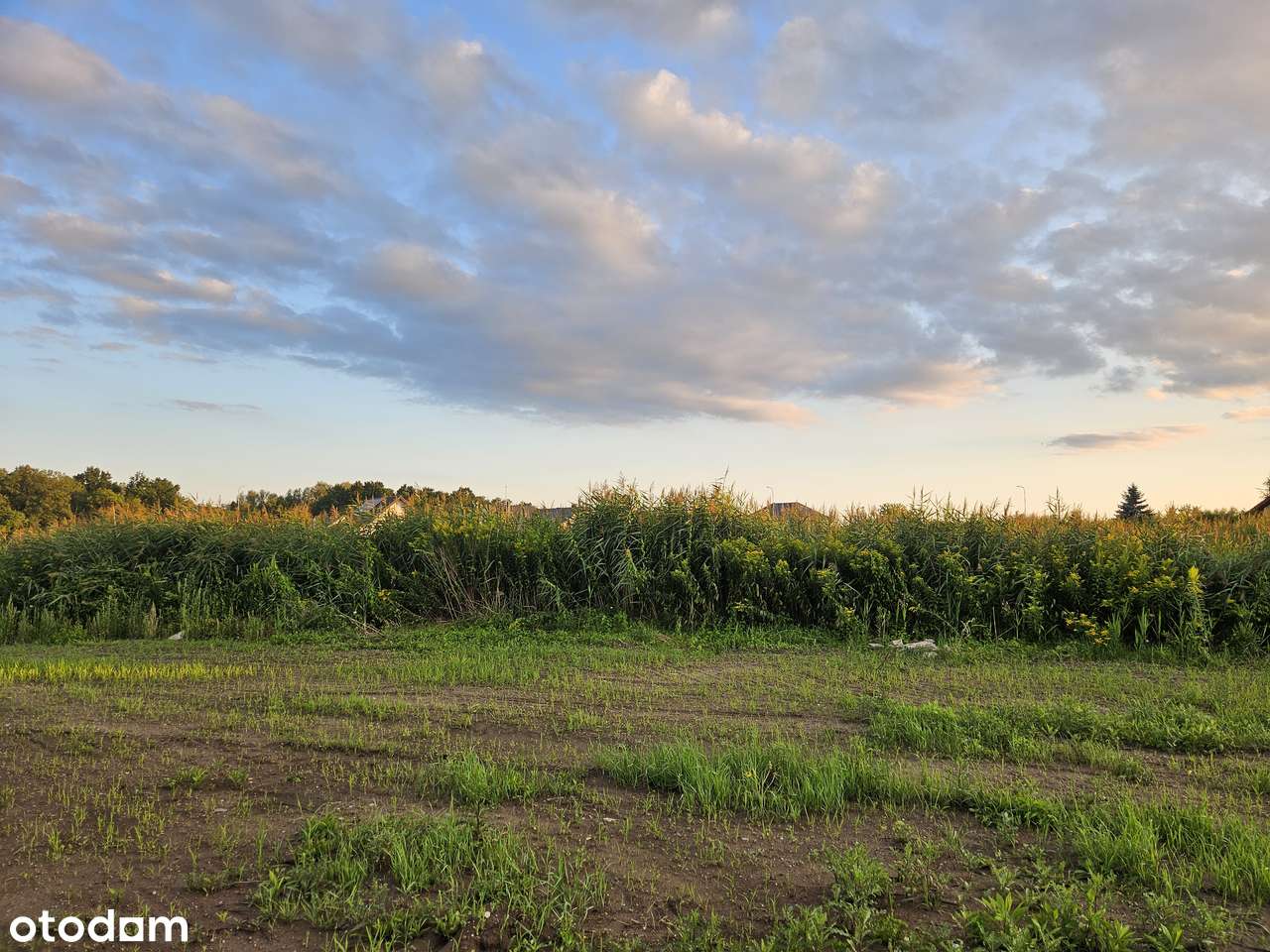 Jedyna taka w Długołęce. Piękne miejsce. Budowlana. Dla wymagającego. - Pełny obrazek: 4/12