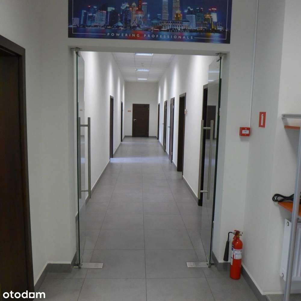 Hala - Magazyn 5200m2, Zielona Góra, Lubuskie - Pełny obrazek: 4/11