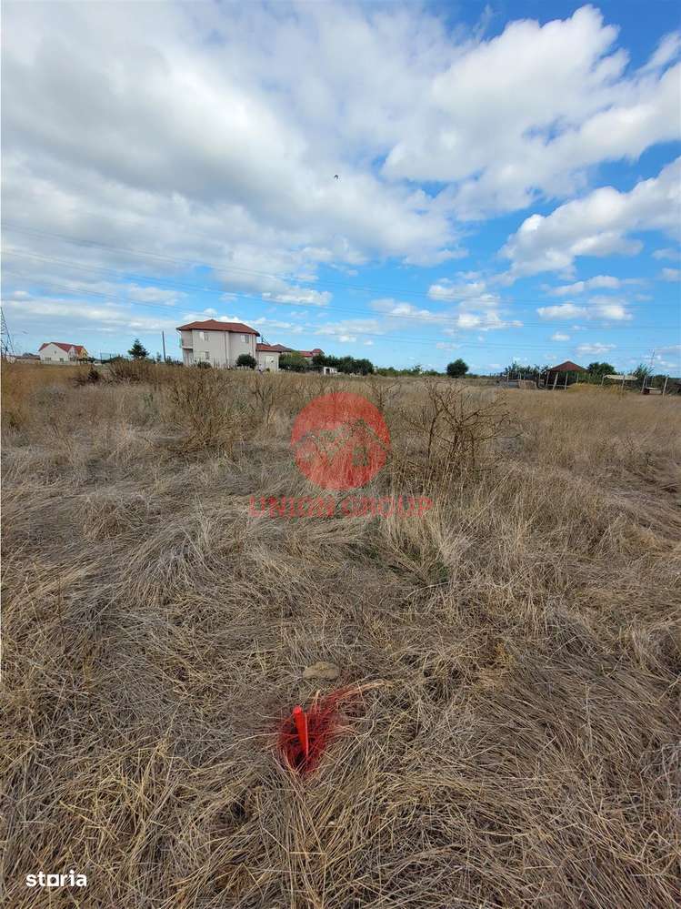 Viitorul Tau Incepe Aici - Teren de 614 mp in Viile Noi - Imagine principală: 1/3