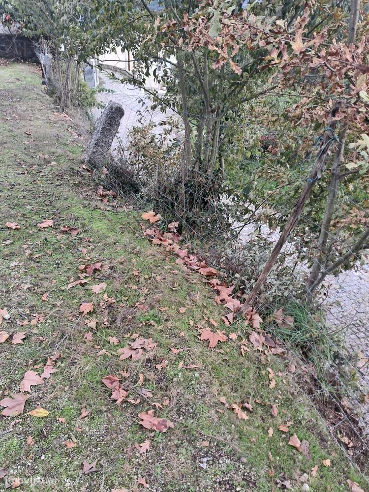 Terreno Rústico 1820m2 - Constance, Marco de Canaveses-8