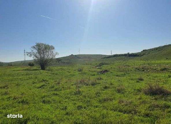 Cota de 1/2 din teren extravilan, comuna Rogova, Jud Mehedinti - Imagine principală: 2/3