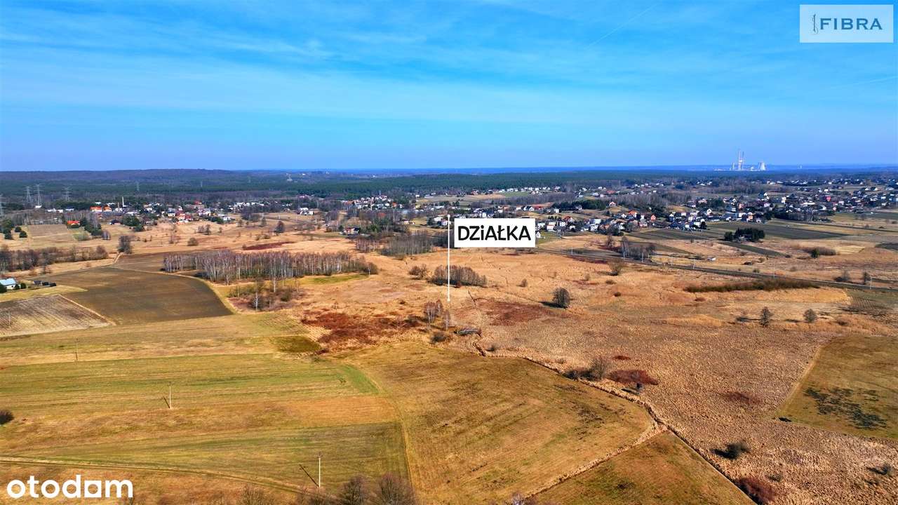 Urodzajna ziemia - mady brunatne. - Pełny obrazek: 2/20