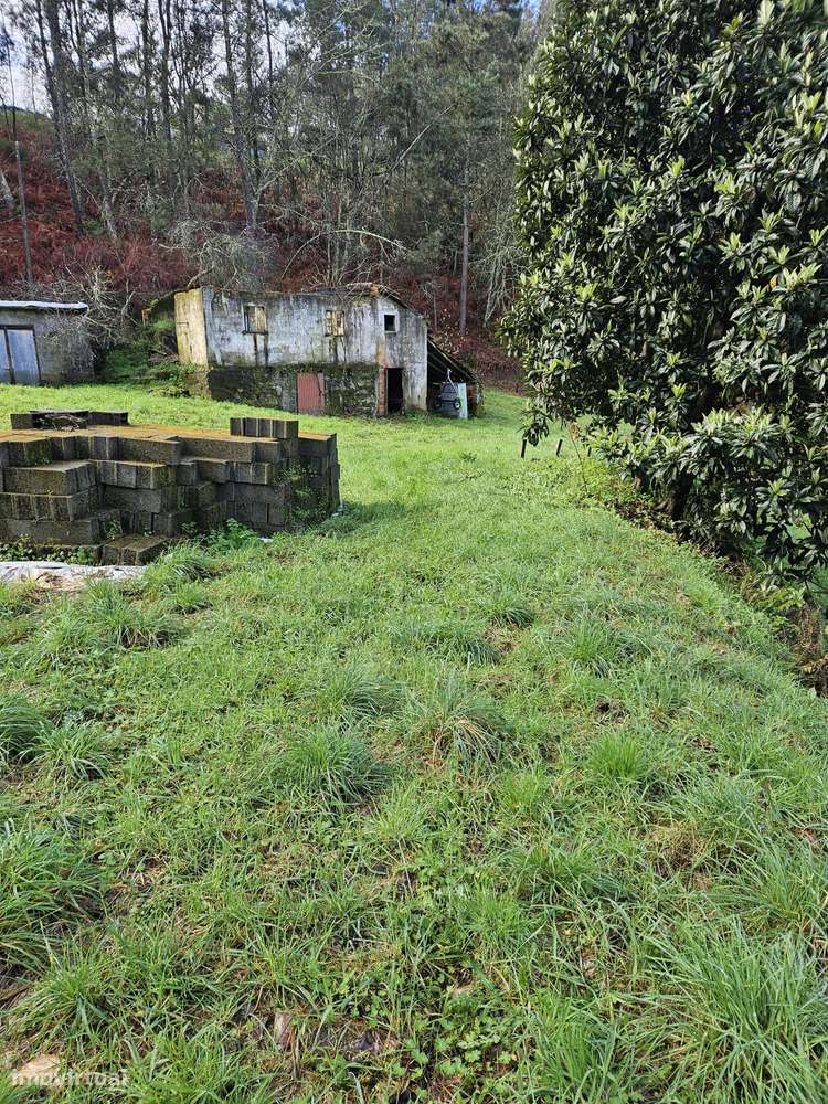 TERRENO COM RUINA LUGAR DE MOGAS - Grande imagem: 2/22