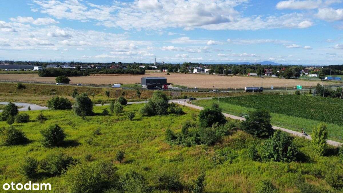 Iwiny 1,9ha działka usługowo produkcyjna obok Aow - Pełny obrazek: 4/8