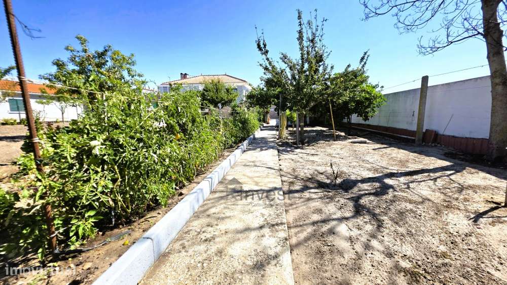 Quinta  com Moradia T6, Casa T2, Piscina Aquecida -  Salvaterra de Mag-46