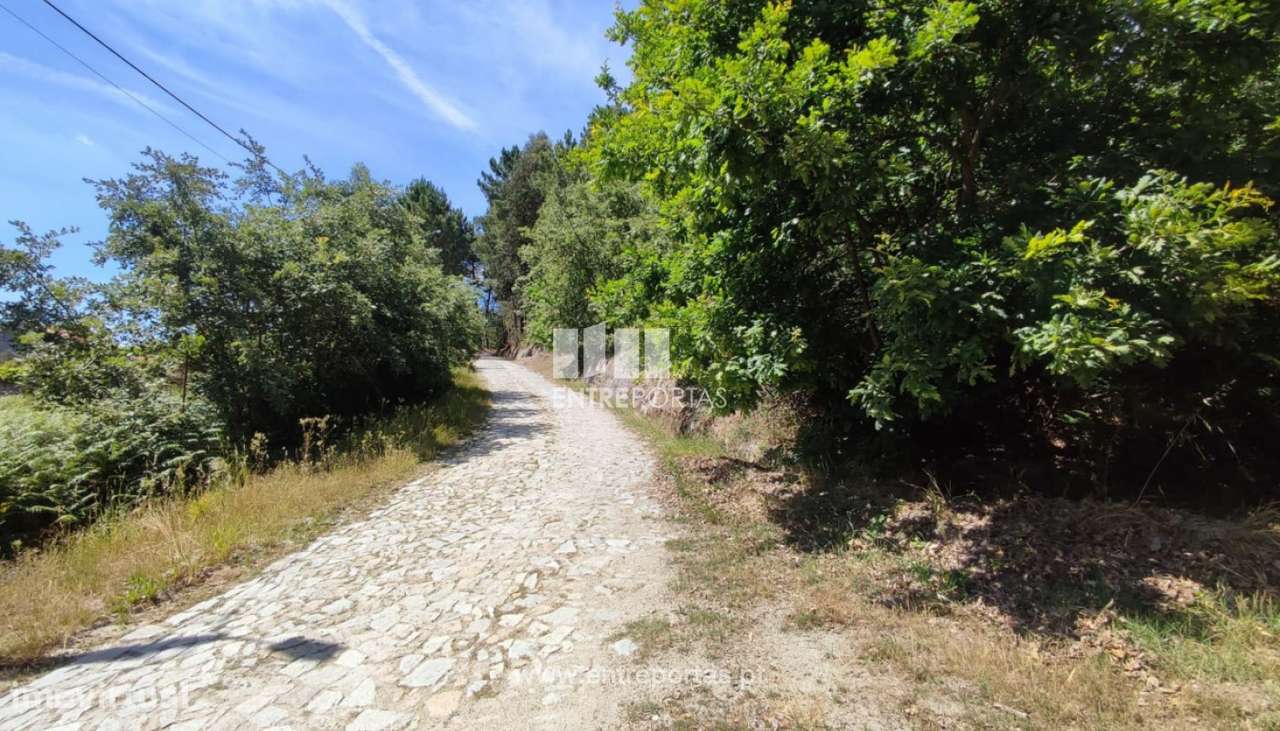 Venda Terreno com 4228m2, Soalhães, Marco de Canaveses - Grande imagem: 5/30