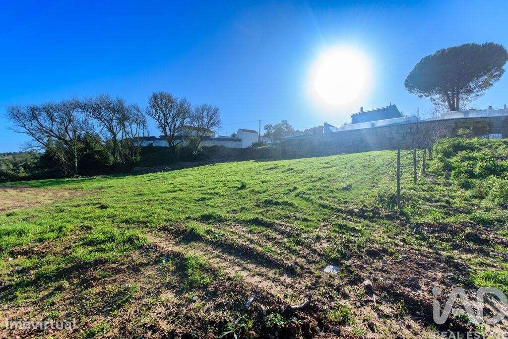 Terreno em Caldas da Rainha - Nossa Senhora do Pópulo, Coto e São Greg - Grande imagem: 3/22