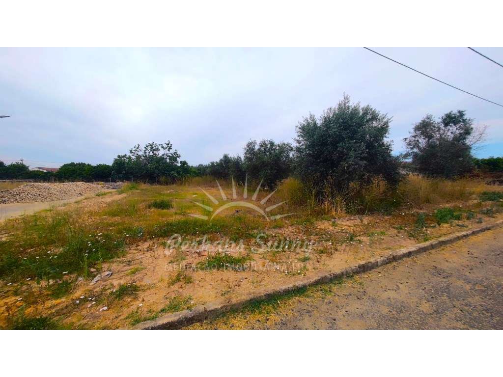 Loteamento com 14 Lotes urbanos - Grande imagem: 5/11