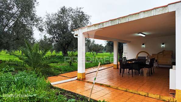 Quinta em Avis - Grande imagem: 5/30