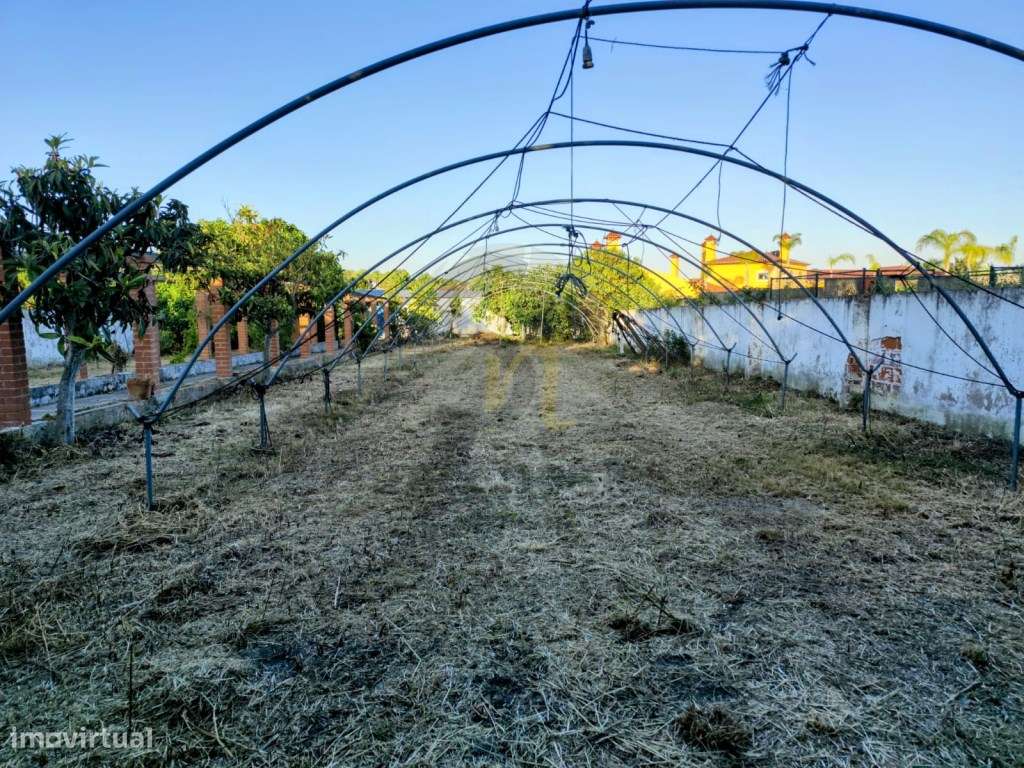 Moradia Independente com restaurante - Grande imagem: 4/30