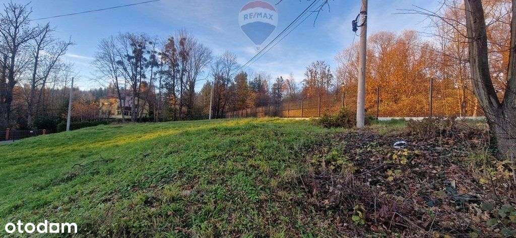 Góry, lasy i doliny - Beskidy - Pełny obrazek: 4/11