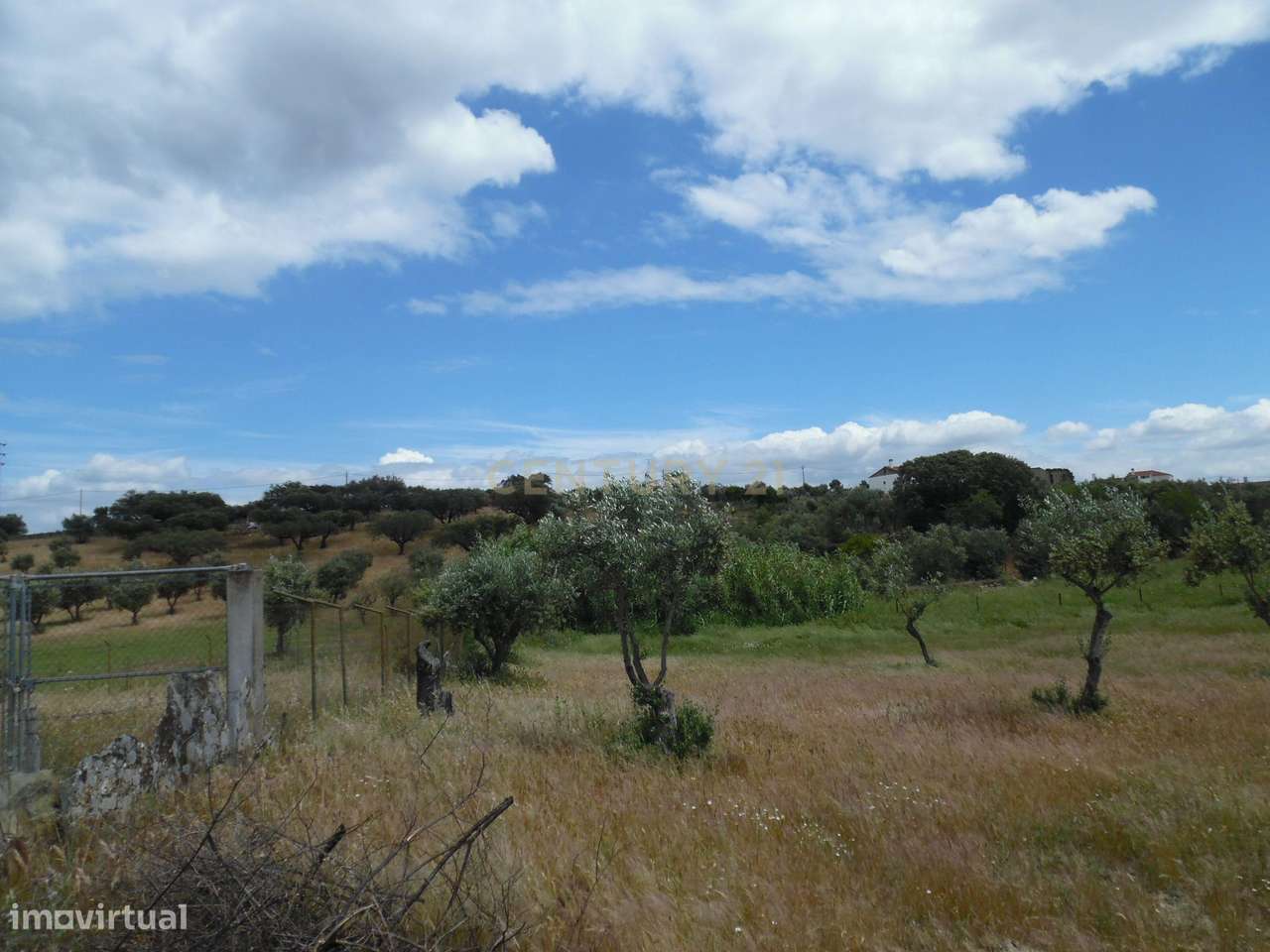 Quinta em Capelins,  Alandroal - Évora,  Oportunidade Única-54