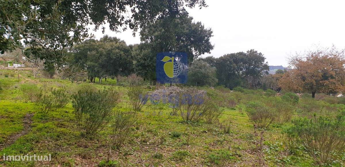 Terreno Arruda dos Vinhos - Grande imagem: 3/19