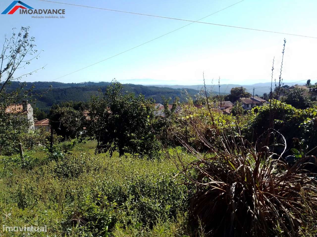 Casa para Recuperar com Terreno e Lagar em Lorvão, Penacova, Coimbra-20