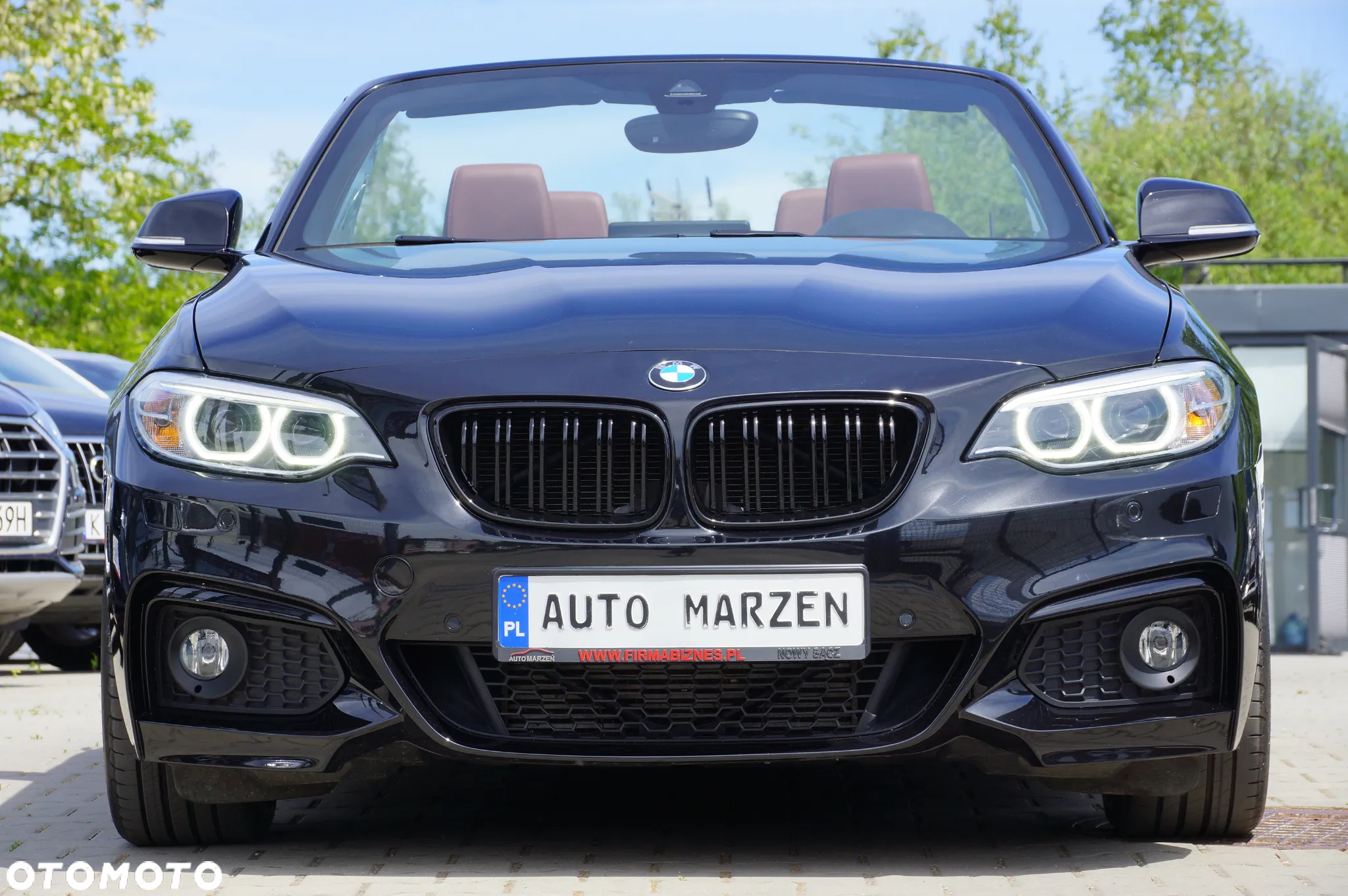 BMW Seria 2 220d Cabrio Advantage - 3