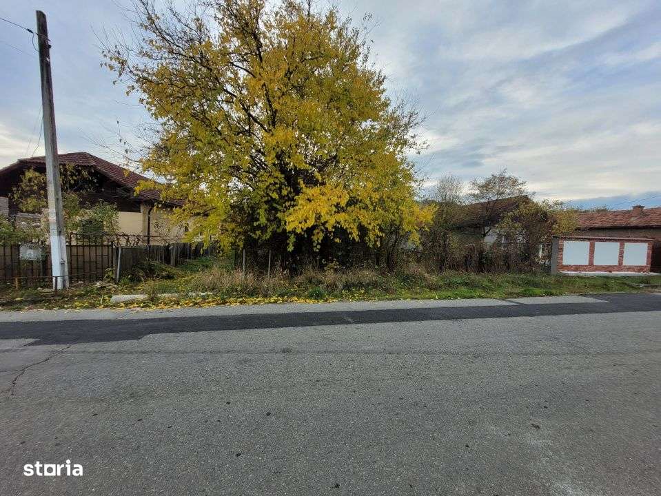 Vanzare teren intravilan, 4967  mp, utilitati, sat Rasova, Balesti.-6