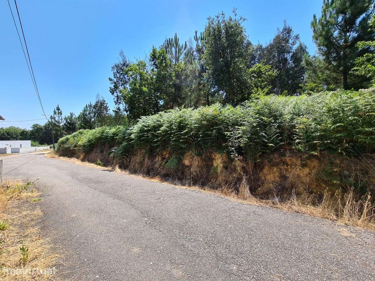 Terreno para construção em Nogueira do Cravo-9