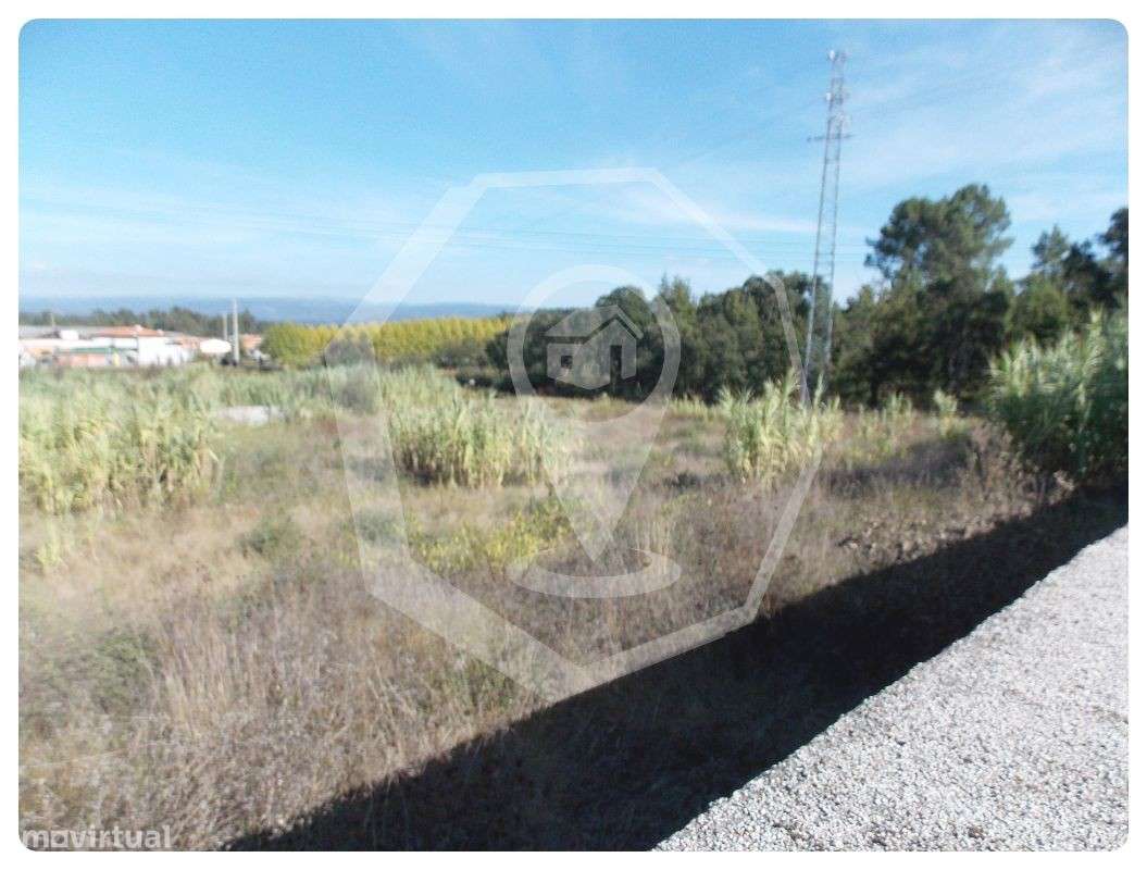 Terreno para Construção 6 moradias em Oliveira do Bairro - Grande imagem: 3/7