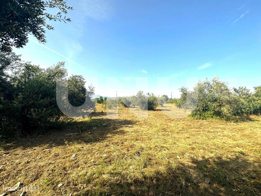 Terreno Rústico com 6.800m2 para venda no Fundão - Grande imagem: 3/13