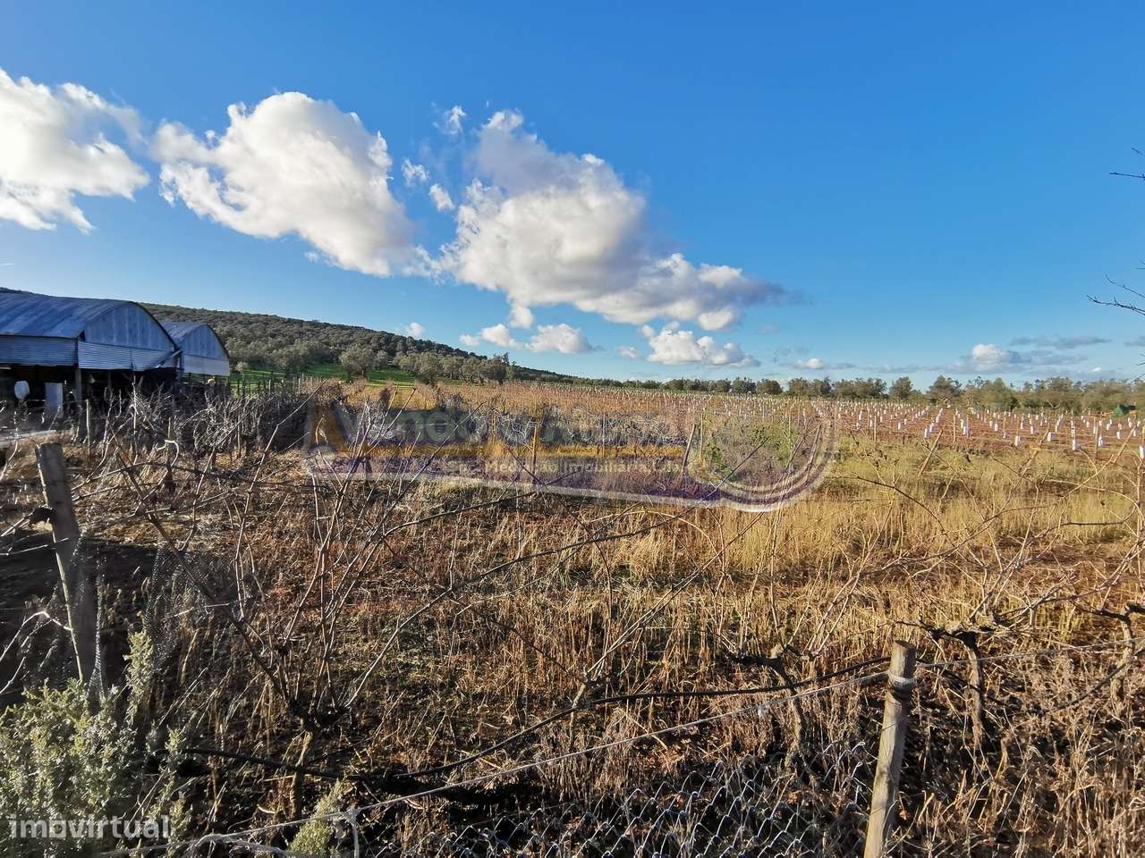 Terreno em Sousel, Portalegre (PSL001) - Grande imagem: 5/13