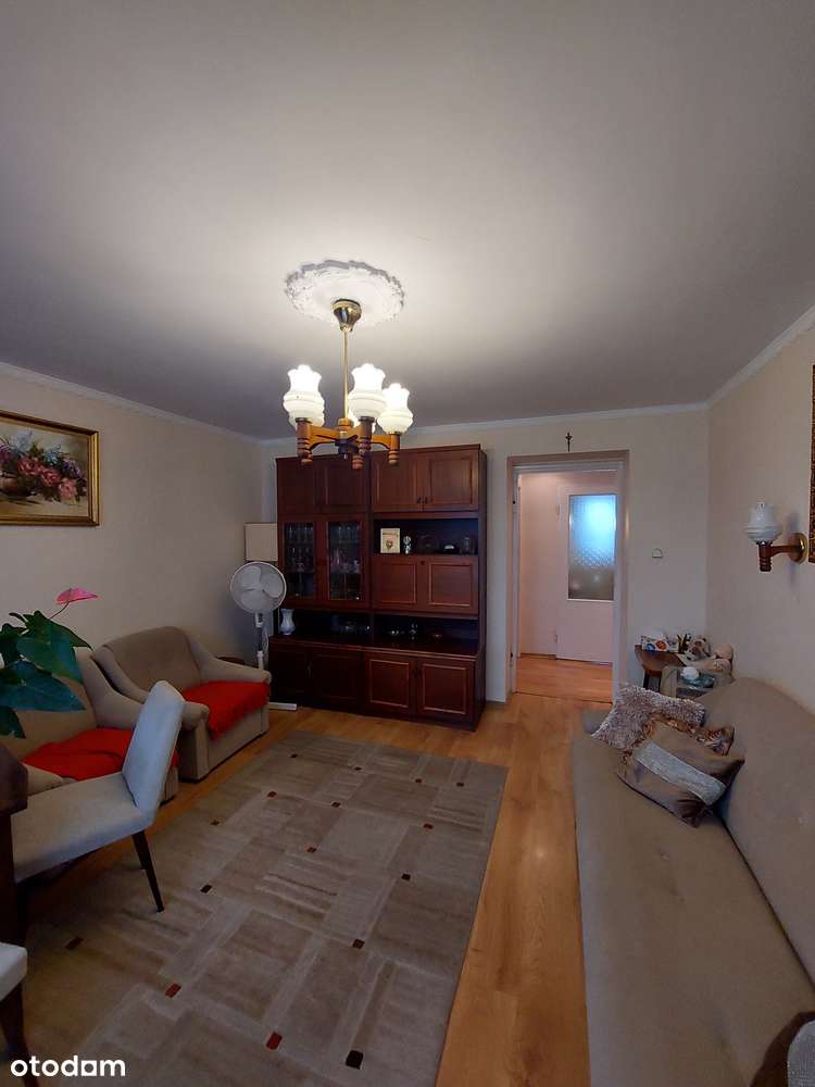 Plewiska wyposażone, zadbane 66m2 z garażem, ogródkiem, pom. gosp. Ip.-6