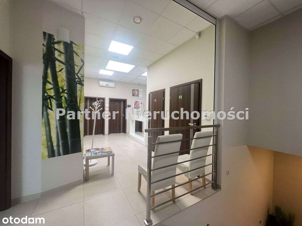 Lokal Pod Gabinety Medyczne!!!!! Skarpa!!!! - Pełny obrazek: 3/5