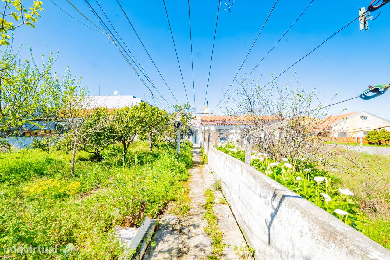 Moradia T3 com Quintal Amplo, Garagem e Anexo – Zona Tranquila da Moit-40
