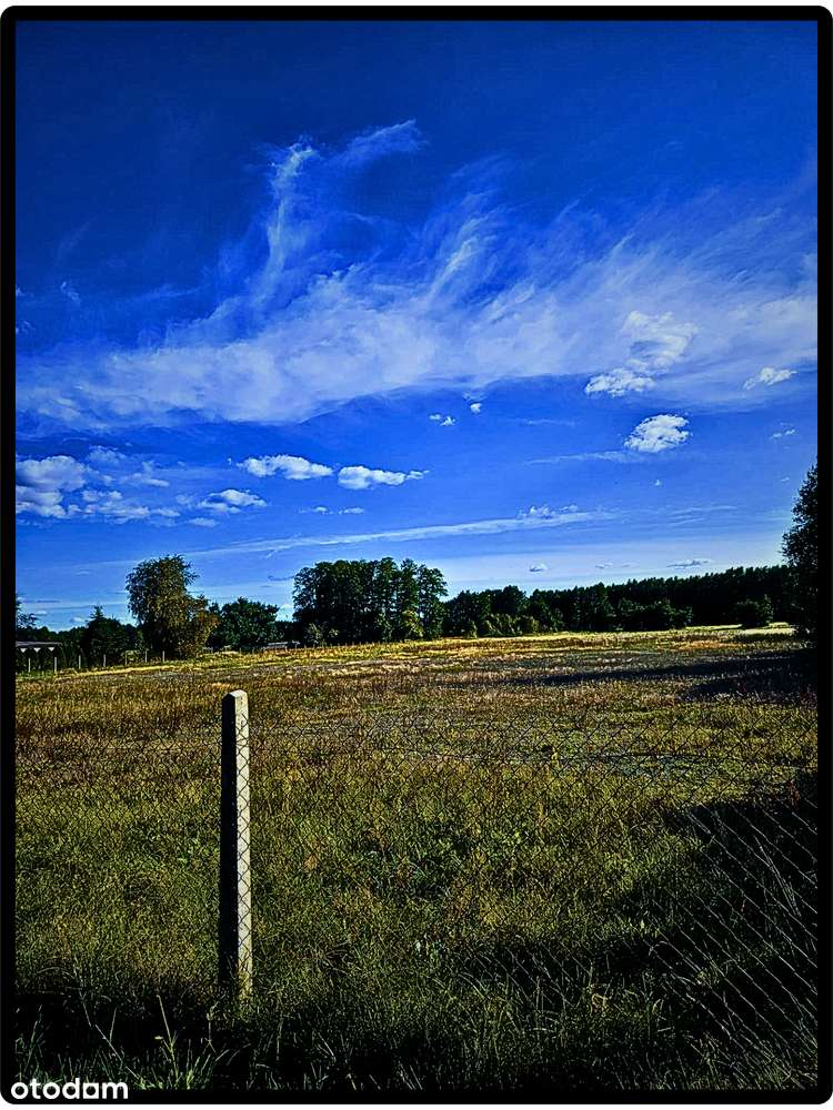 Działka inwestycyjna ~7 ha  – gmina Łask - Pełny obrazek: 5/6