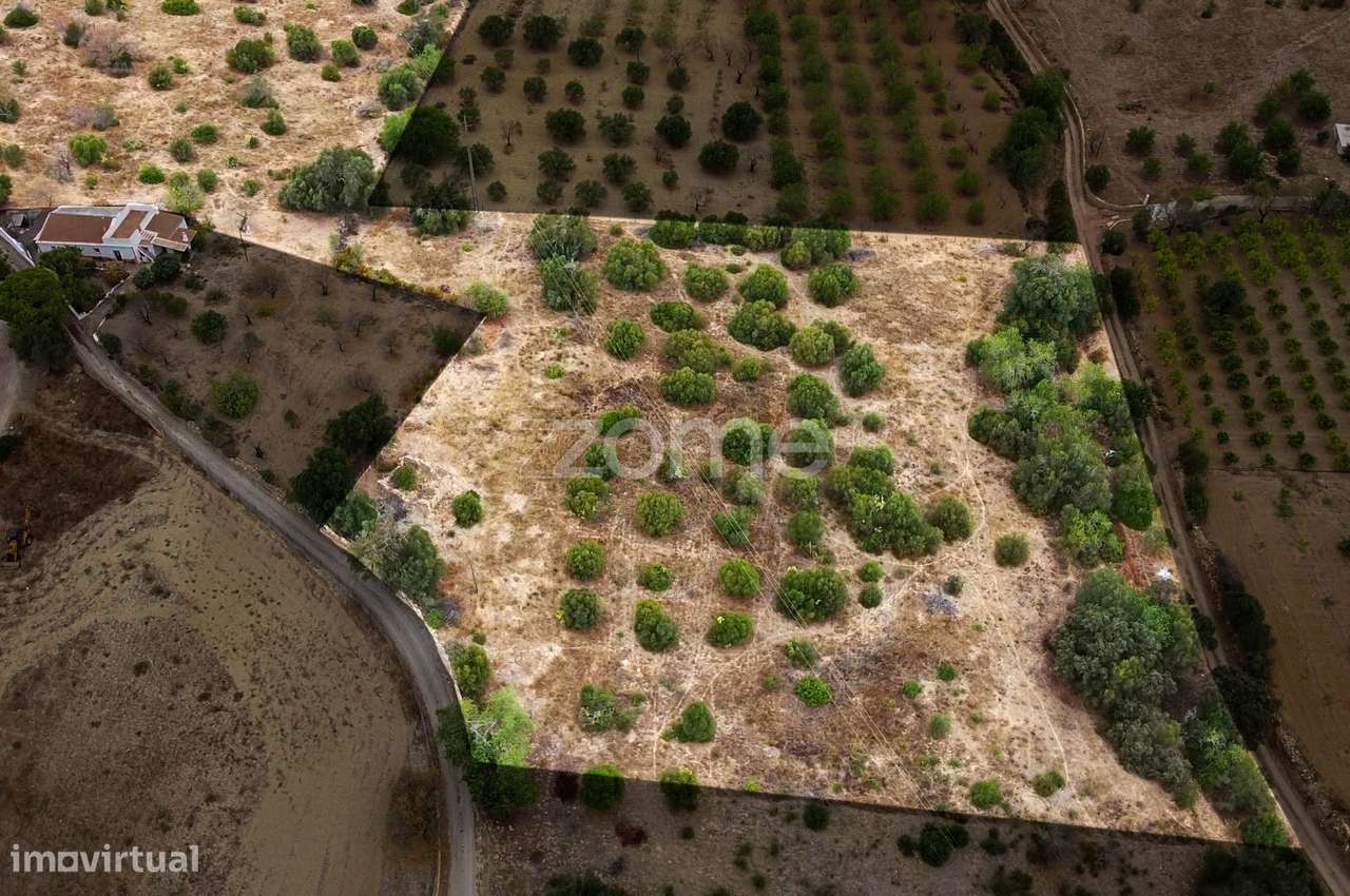 Terreno em Moncarapacho - Olhão - Grande imagem: 5/13
