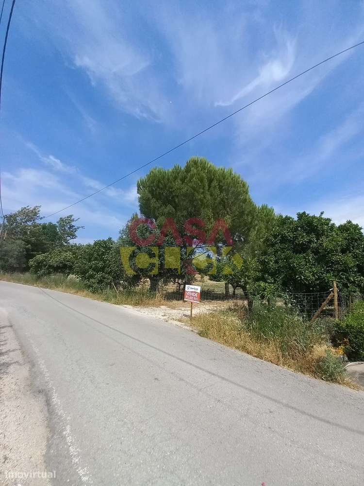 Terreno Rústico  Venda em Assentiz,Torres Novas-8