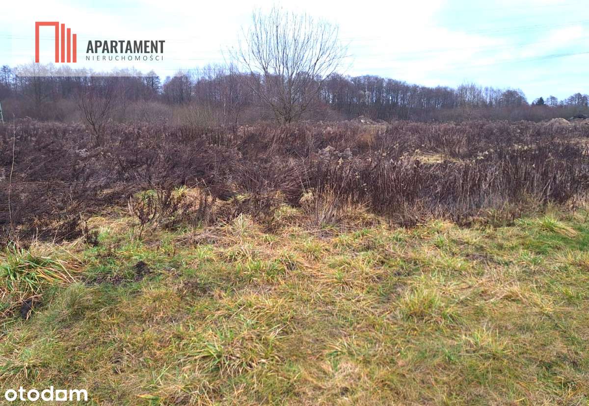 Działki budowlane z WZ w Murowańcu - Pełny obrazek: 5/7