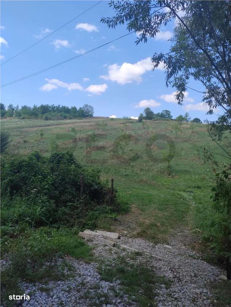 RECO Teren intravilan, Topesti - Imagine principală: 2/3