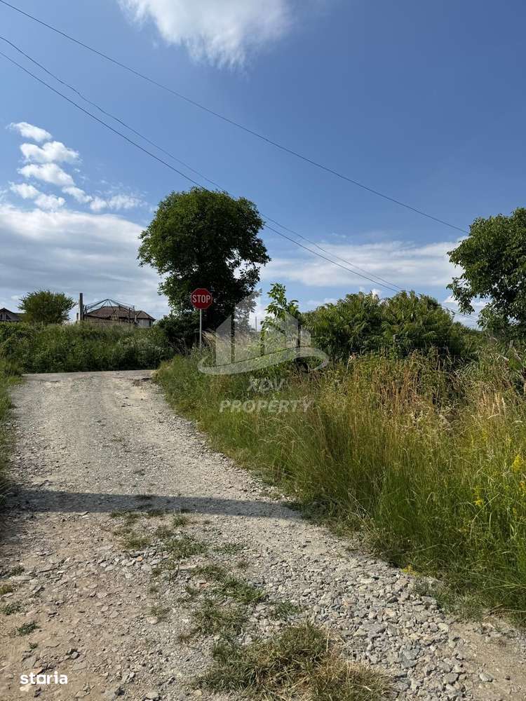 Teren intravilan  ,1020 mp, Sibiu, Daia Noua-7