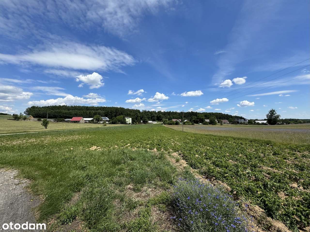 Działka budowlana z własnym lasem i asfaltowym dojazdem, media!-15