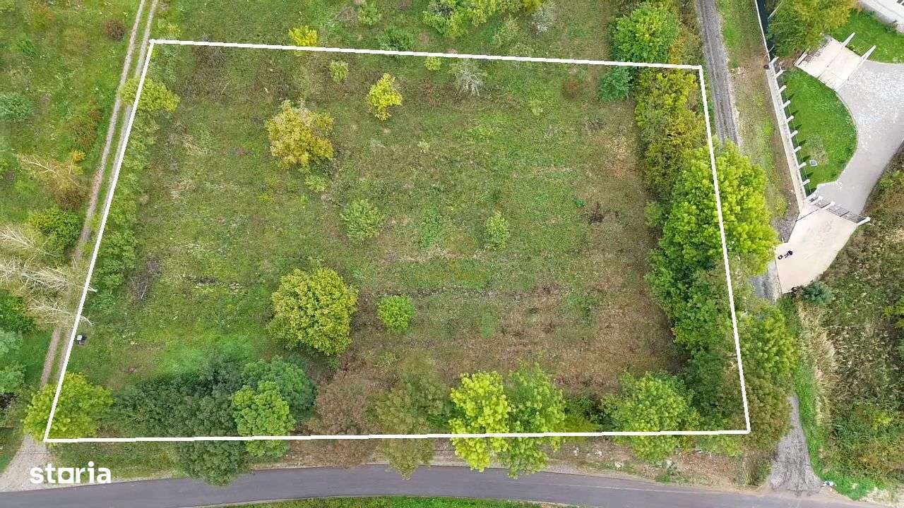 De vanzare Teren Intravilan Viile Satu Mare 2812MP/Dublu Front Stradal-3