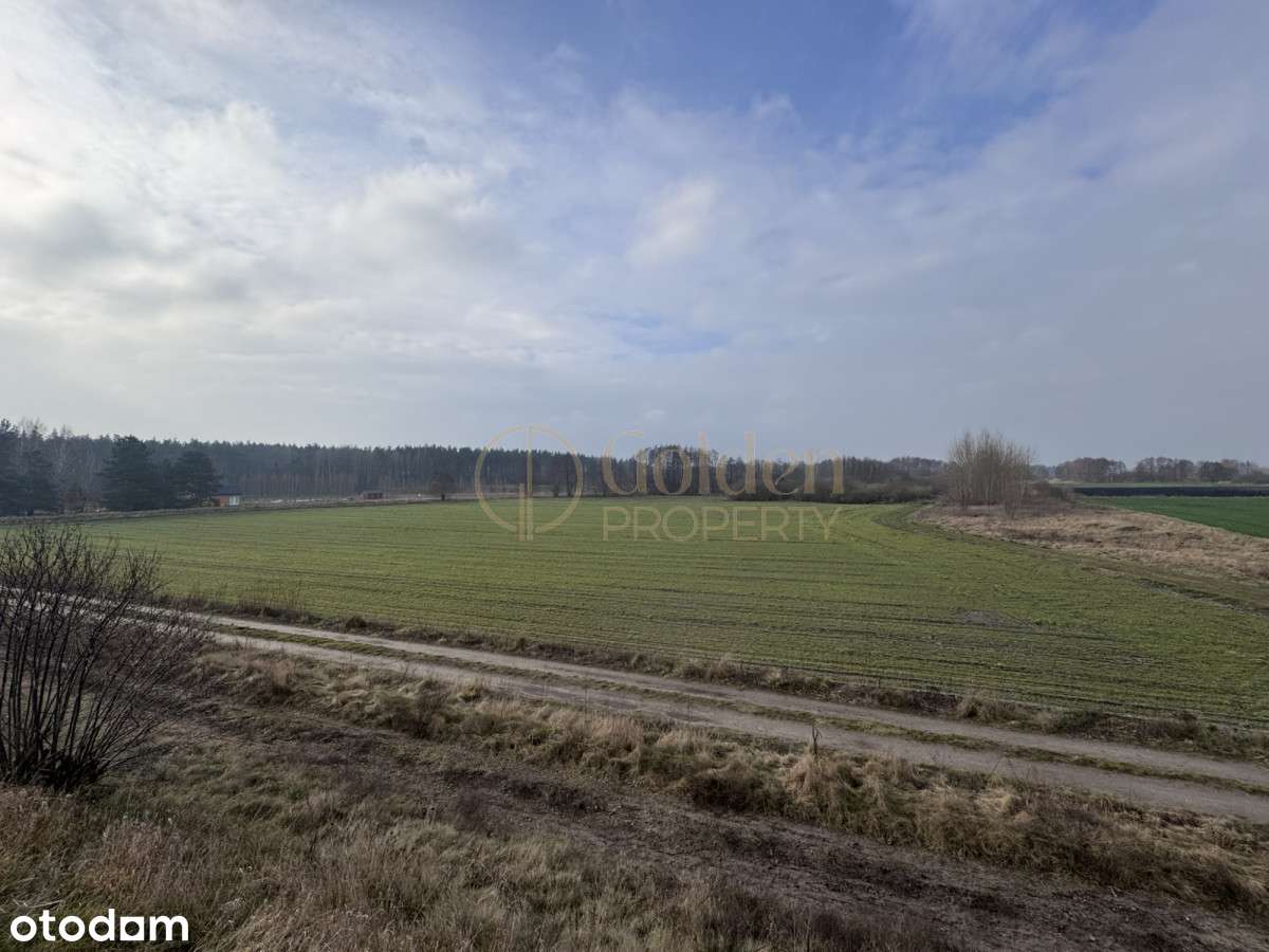 Działka dla inwestora - 32 domy jednorodzinne