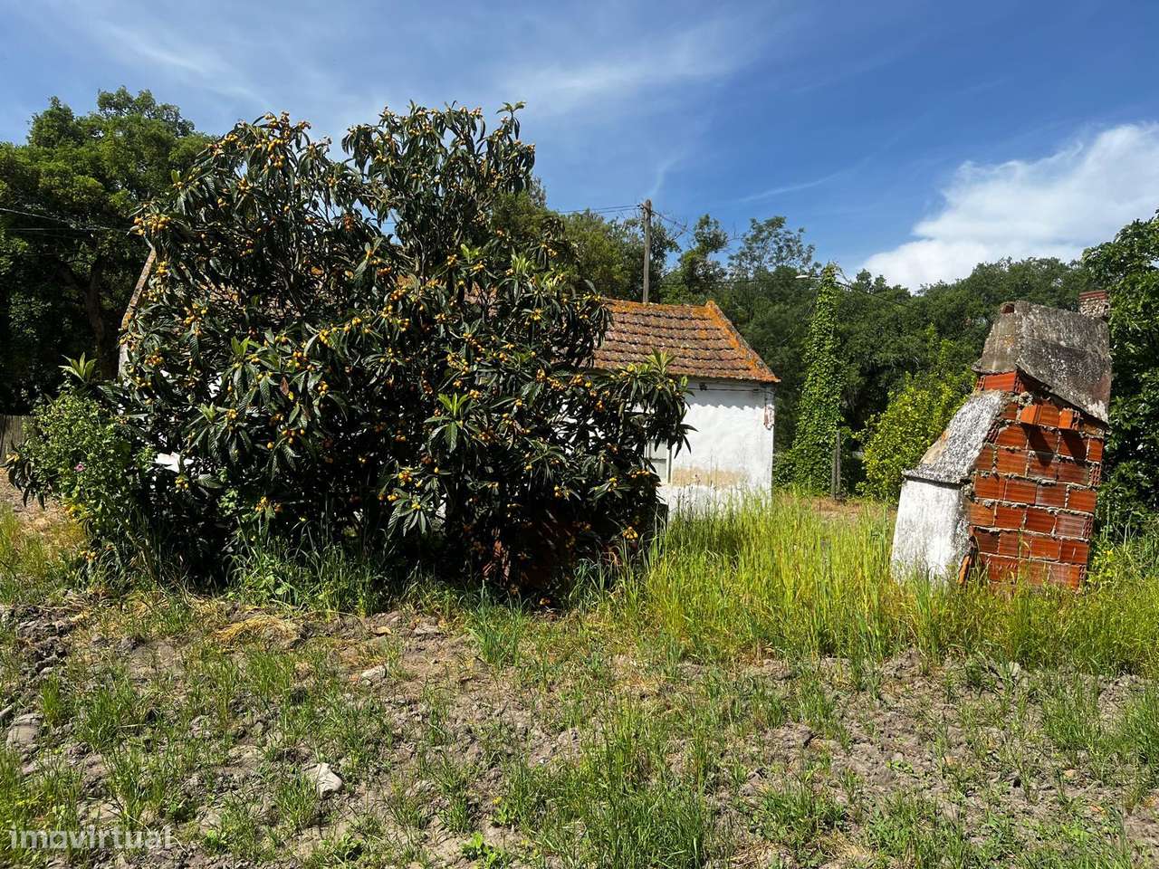 Terreno com 5000m2, com casa para restaurar - Granho Novo Marinhais...-4