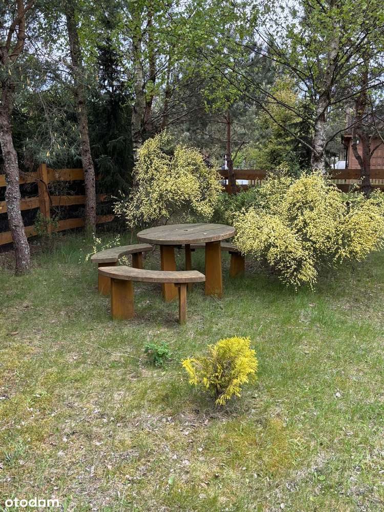 Urokliwy dom na Kaszubach 200 metrów od jeziora - Pełny obrazek: 5/20