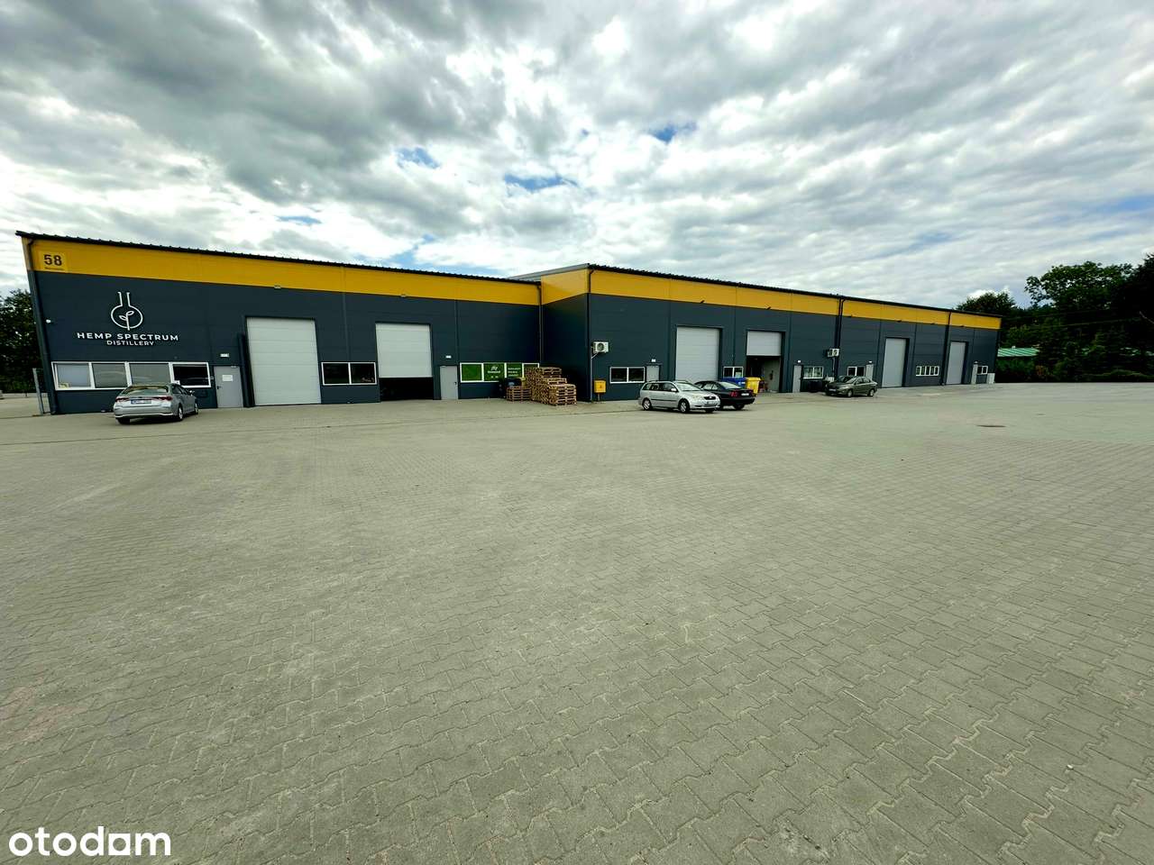 Hala, magazyn, produkcja przy S8 - Pełny obrazek: 5/13