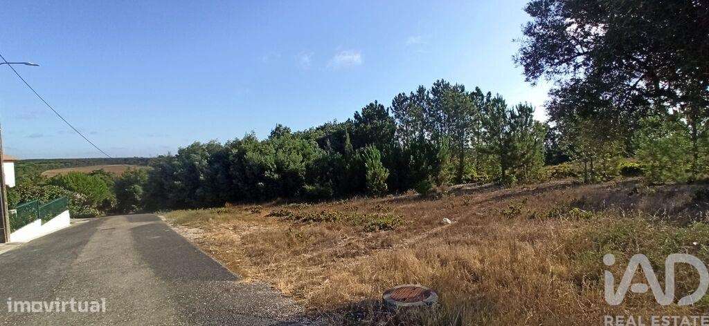 Terreno para construção em Coruche, Fajarda e Erra de 501,00 m2 - Grande imagem: 4/9