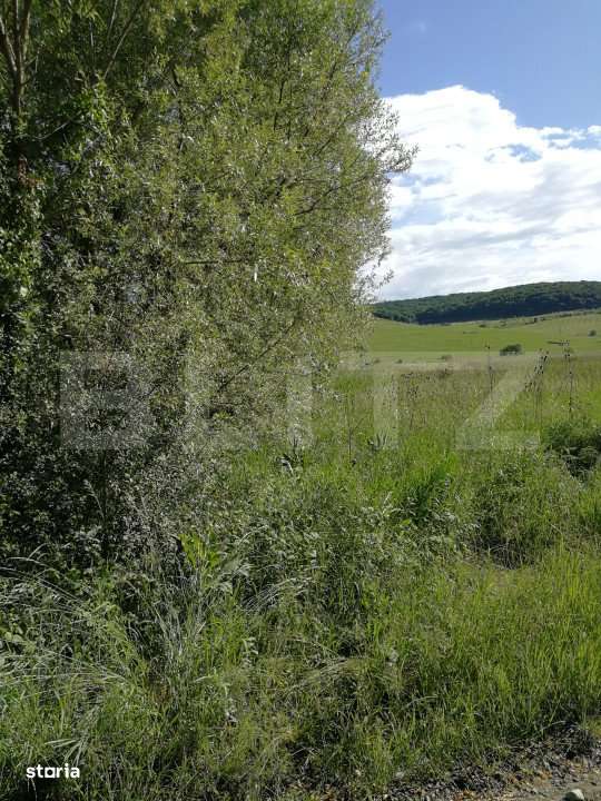 Teren intravilan 50 arii Tofalau Sat - Imagine principală: 2/2