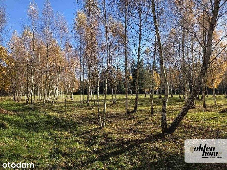 ⭐️Brzozowy Gaj⭐️działki na Przedgórzu Izerskim-10
