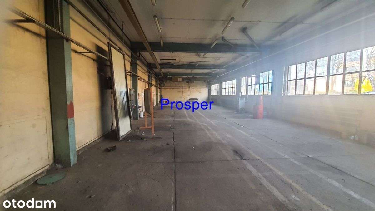 hala z suwnicami 16T plus 3x5T - Pełny obrazek: 5/8