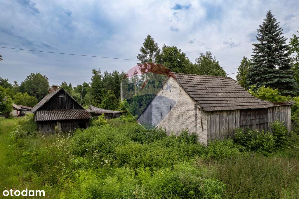 Dom do remontu na 27 arowej działce - Pełny obrazek: 2/17