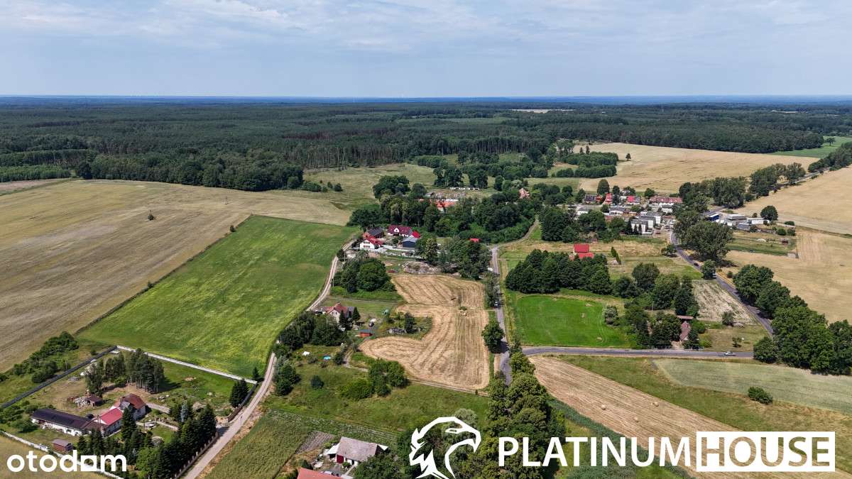 Idealna pod dom! 6 571 m² Jaryszów | Mpzp - Pełny obrazek: 4/12