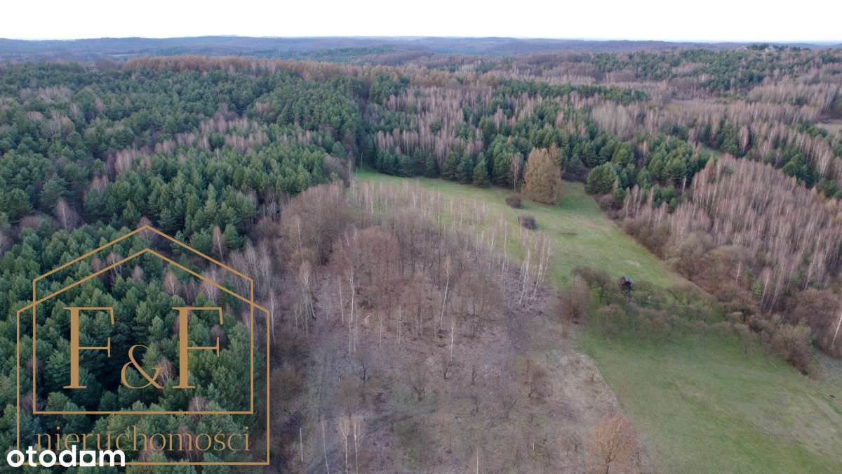 ** Działka pod zabudowę w samym sercu lasu **-8