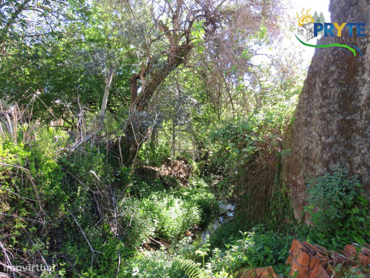 Duas moradias com potencial no Braçal – Proença-a-Nova-37